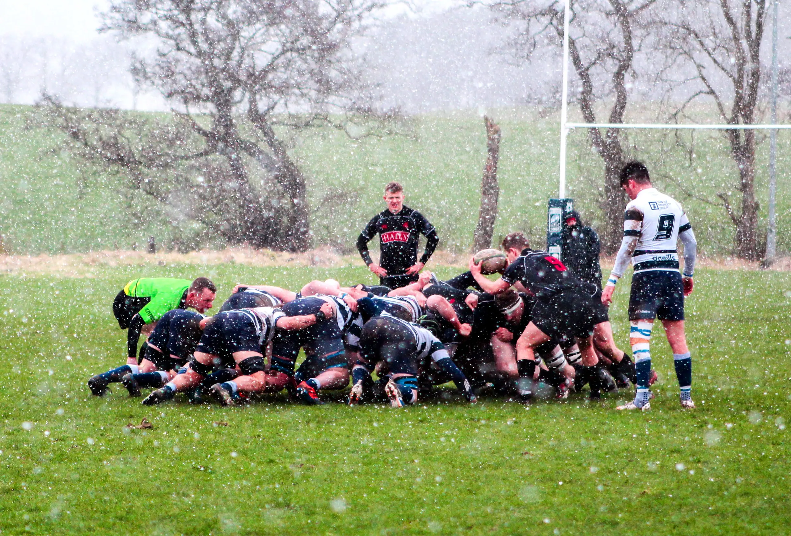 Hall’s Sponsors Day and Biggar RFC Triumph: photo 3